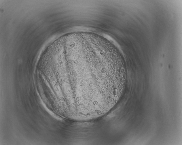 X0000076071429200610152216