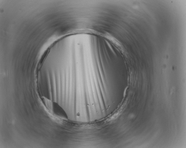 X0000076071430200610152216