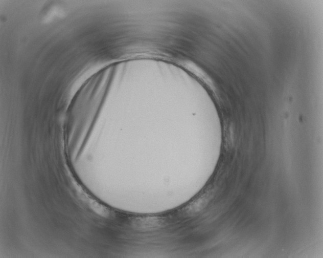 X0000076071431200610152216