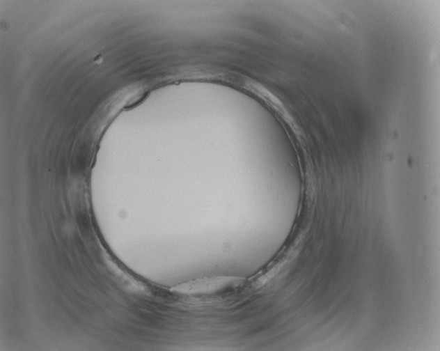 X0000076071433200610152216