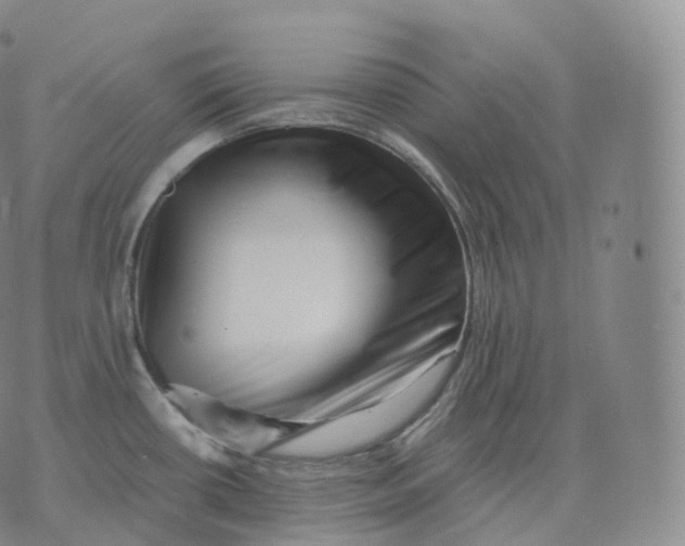 X0000076071434200610152216