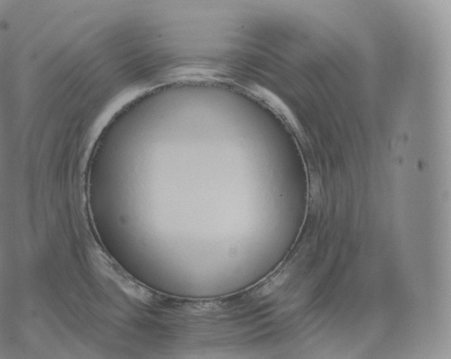 X0000076071435200610152216