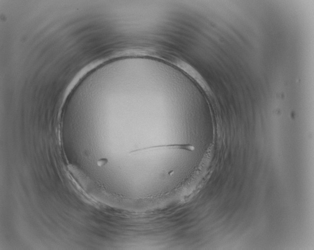 X0000076071436200610152216