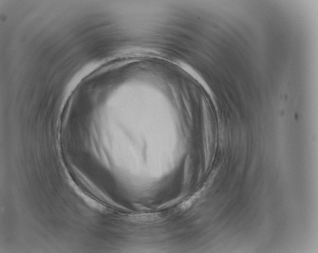 X0000076071437200610152216