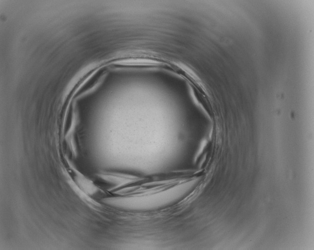 X0000076071438200610152216