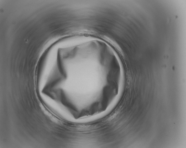 X0000076071439200610152216