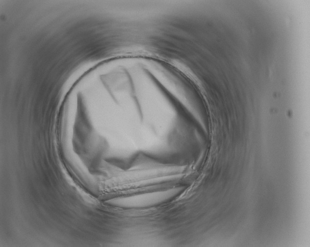 X0000076071440200610152216