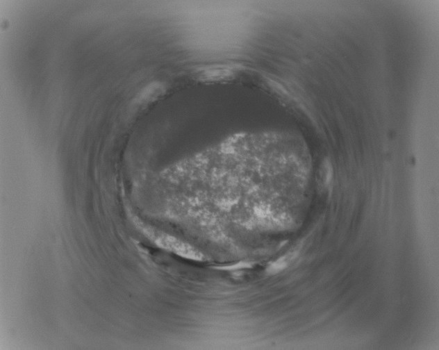 X0000076071441200610152216