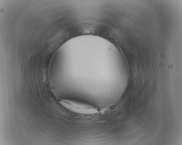 X0000076071442200610152216