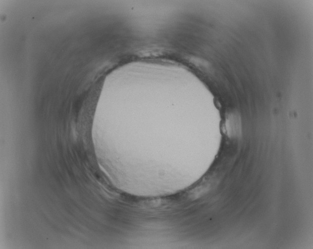 X0000076071444200610152216