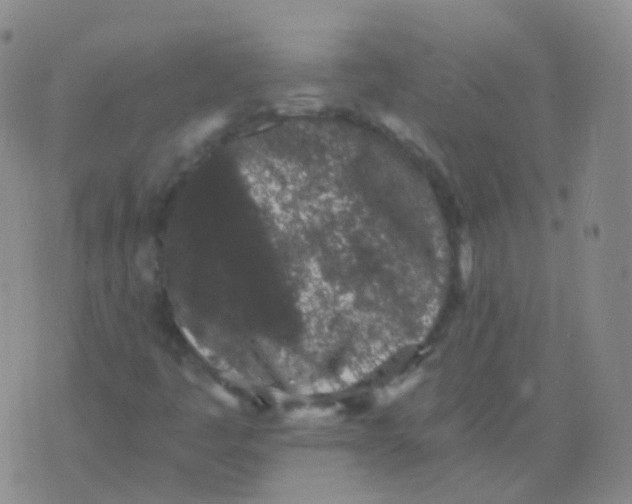 X0000076071445200610152216