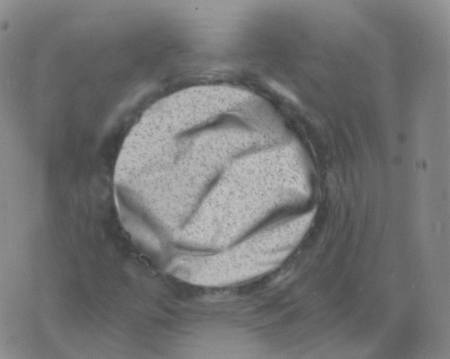 X0000076071447200610152215