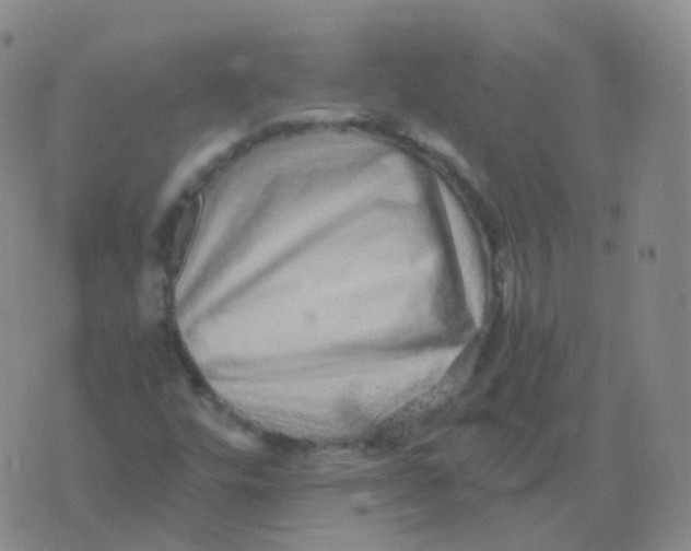 X0000076071448200610152215