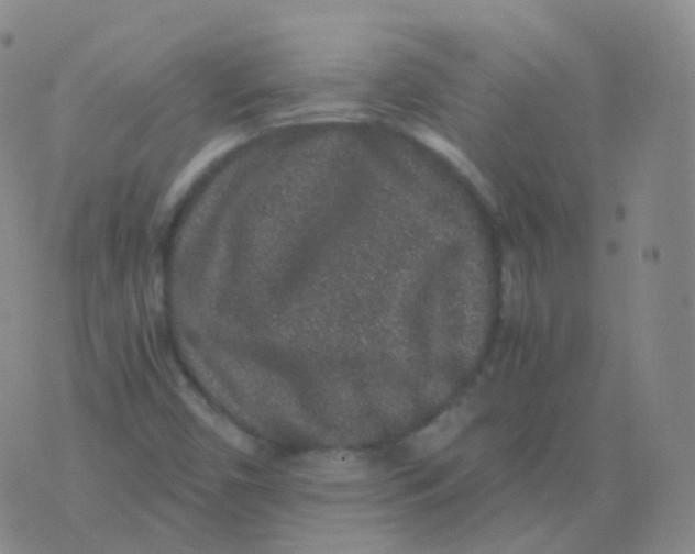 X0000076071450200610152215