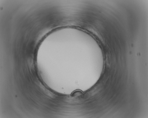 X0000076071452200610152215