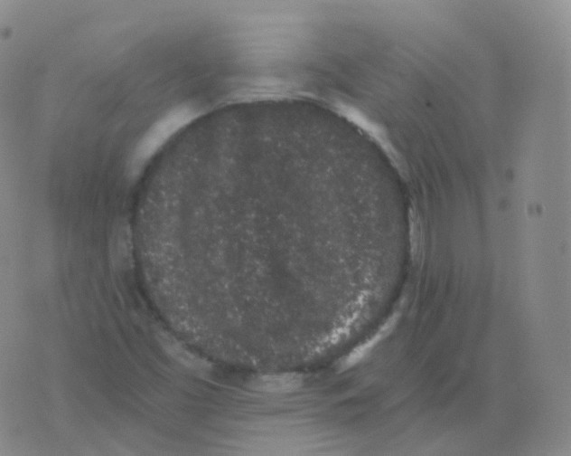 X0000076071453200610152215