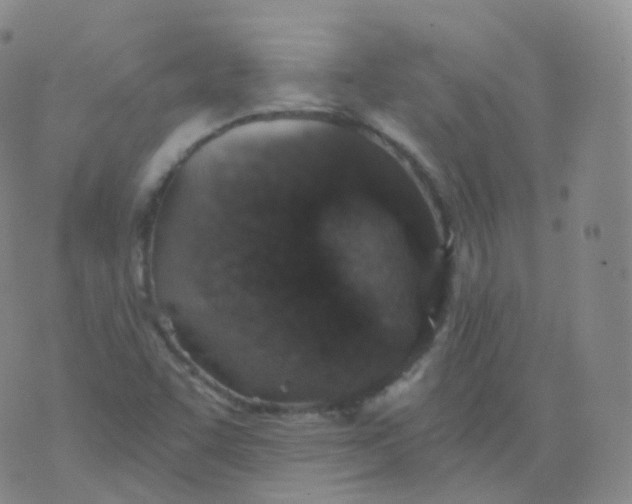 X0000076071455200610152215