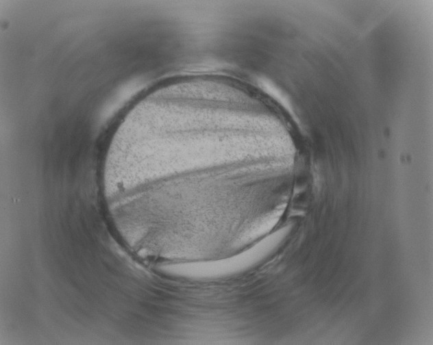 X0000076071456200610152215