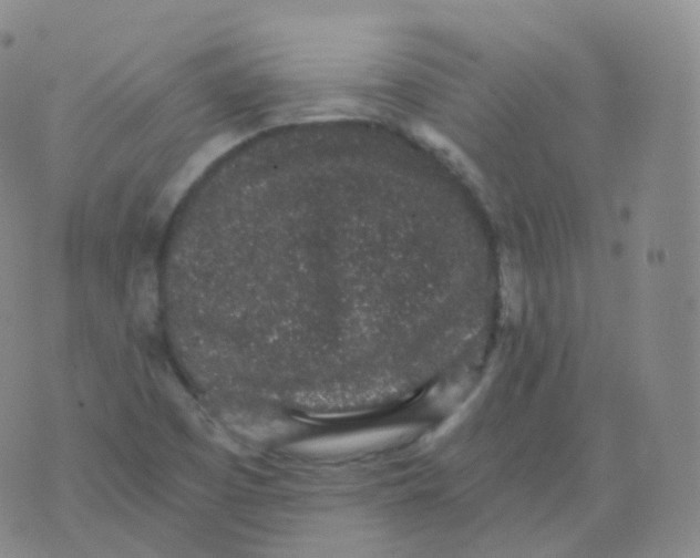 X0000076071457200610152215