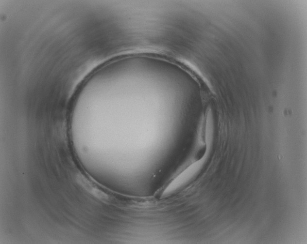 X0000076071460200610152215