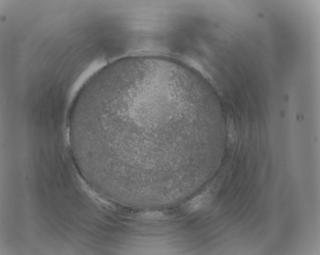 X0000076071462200610152215