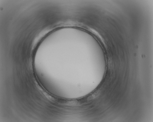 X0000076071464200610152215