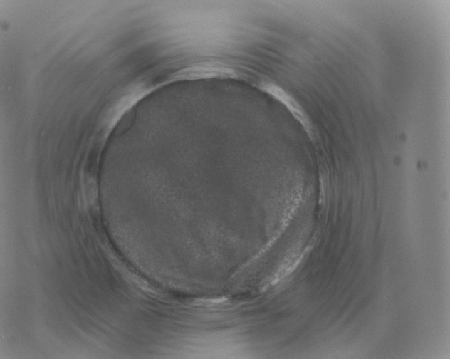 X0000076071465200610152215