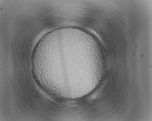 X0000076071467200610152215