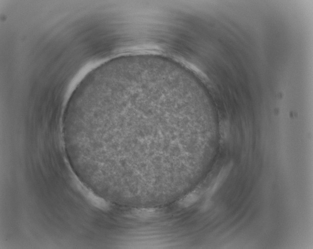 X0000076071470200610152215