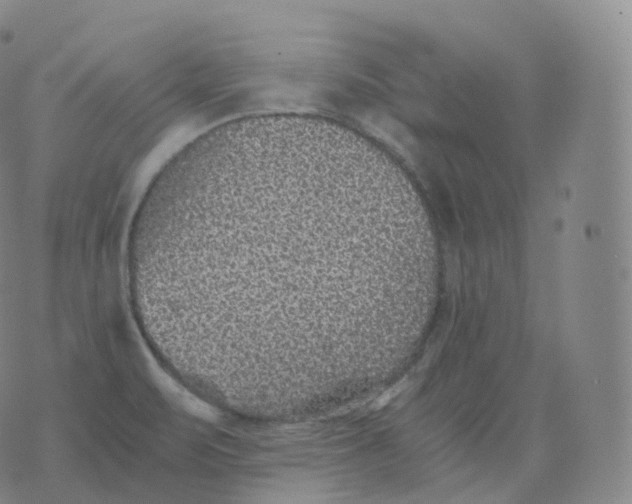 X0000076071471200610152215