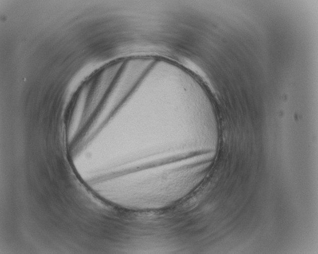 X0000076071472200610152215