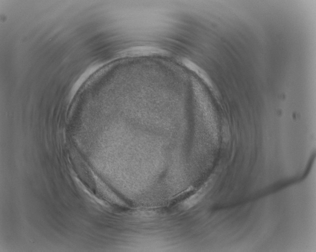 X0000076071473200610152215