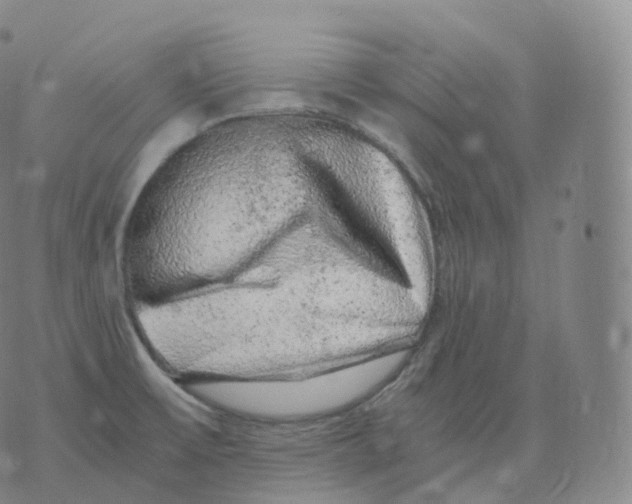 X0000076071475200610152215