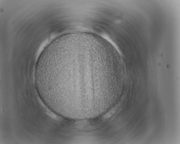 X0000076071477200610152215