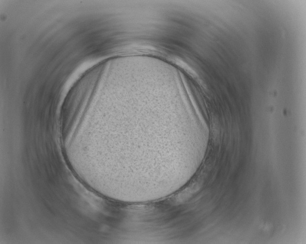 X0000076071478200610152215