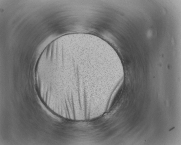 X0000076071479200610152215