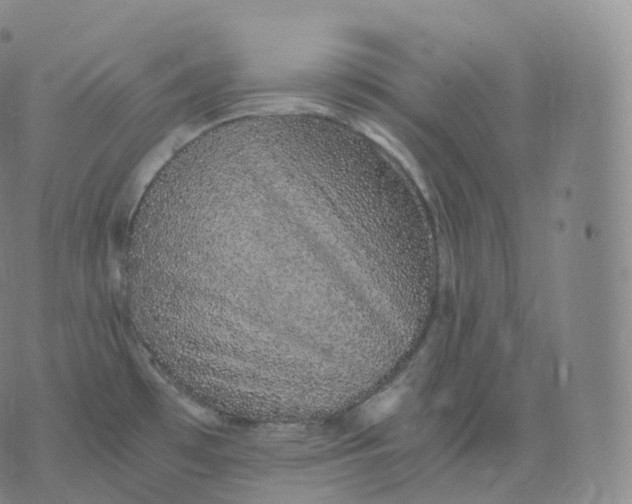 X0000076071481200610152215