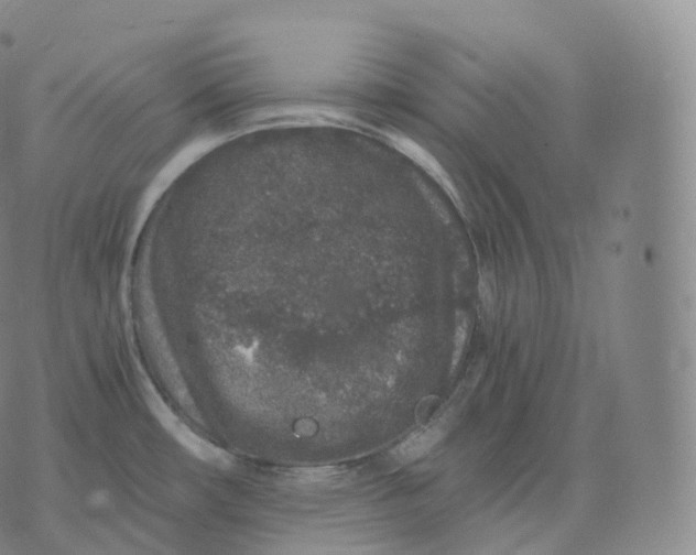 X0000076071482200610152215