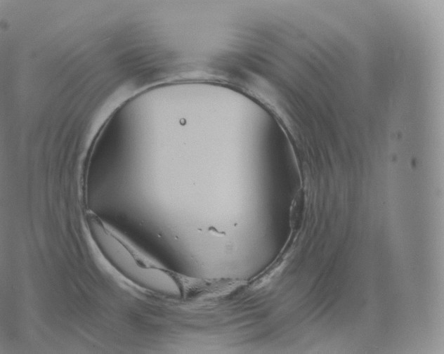 X0000076071483200610152215