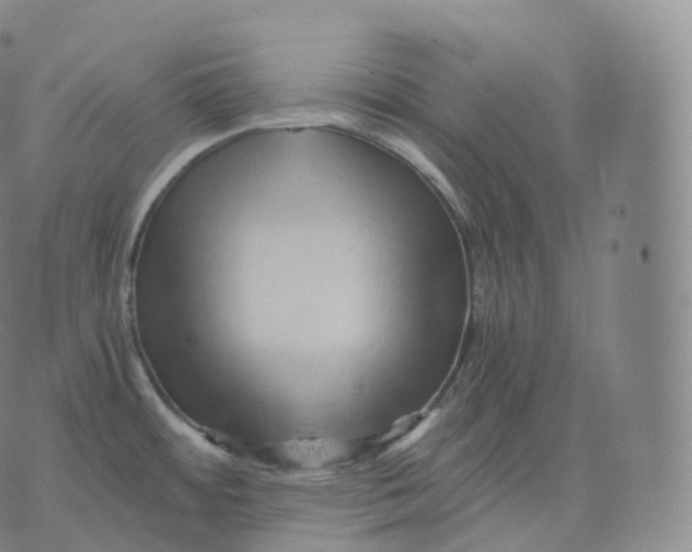 X0000076071484200610152215