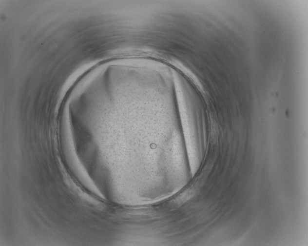 X0000076071486200610152215