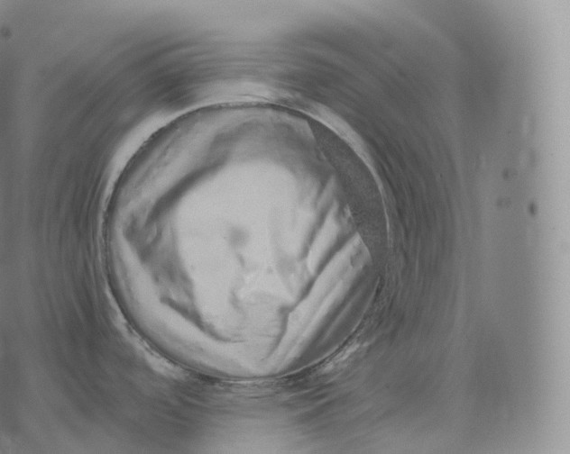 X0000076071488200610152215