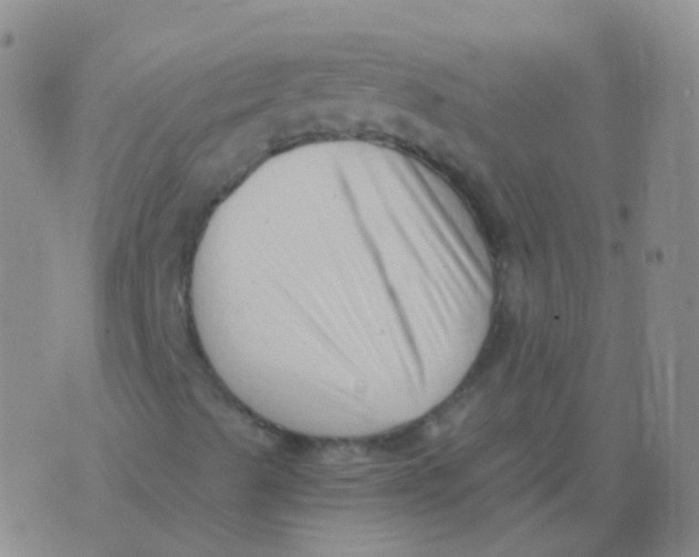 X0000076071489200610152214