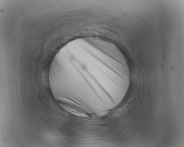 X0000076071490200610152214