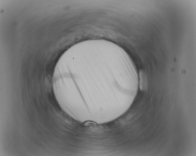 X0000076071491200610152214