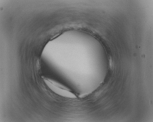 X0000076071492200610152214