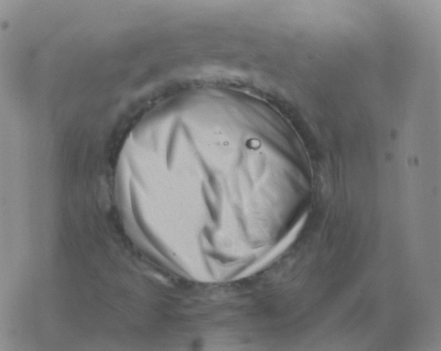 X0000076071493200610152214