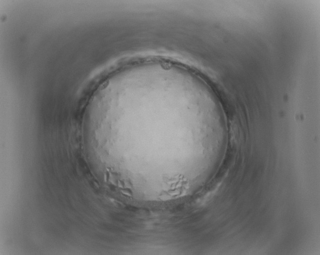 X0000076071494200610152214