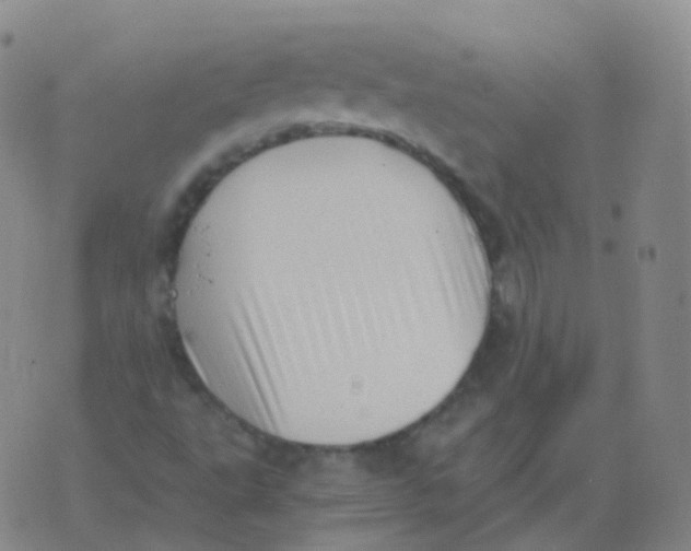 X0000076071495200610152214