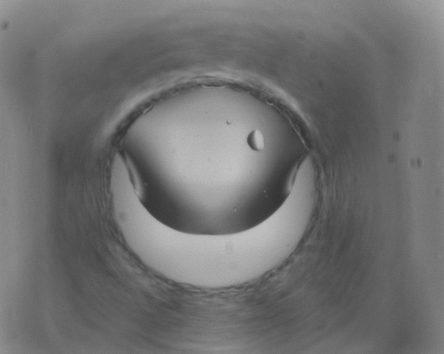 X0000076071496200610152214